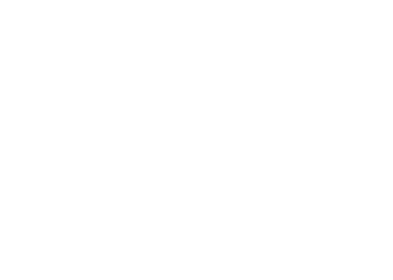 New Start Germany